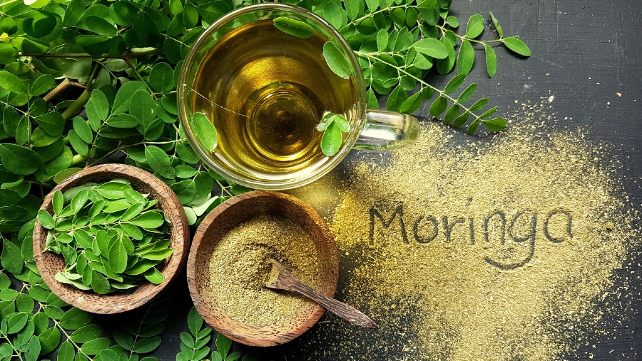 Moringa Magic