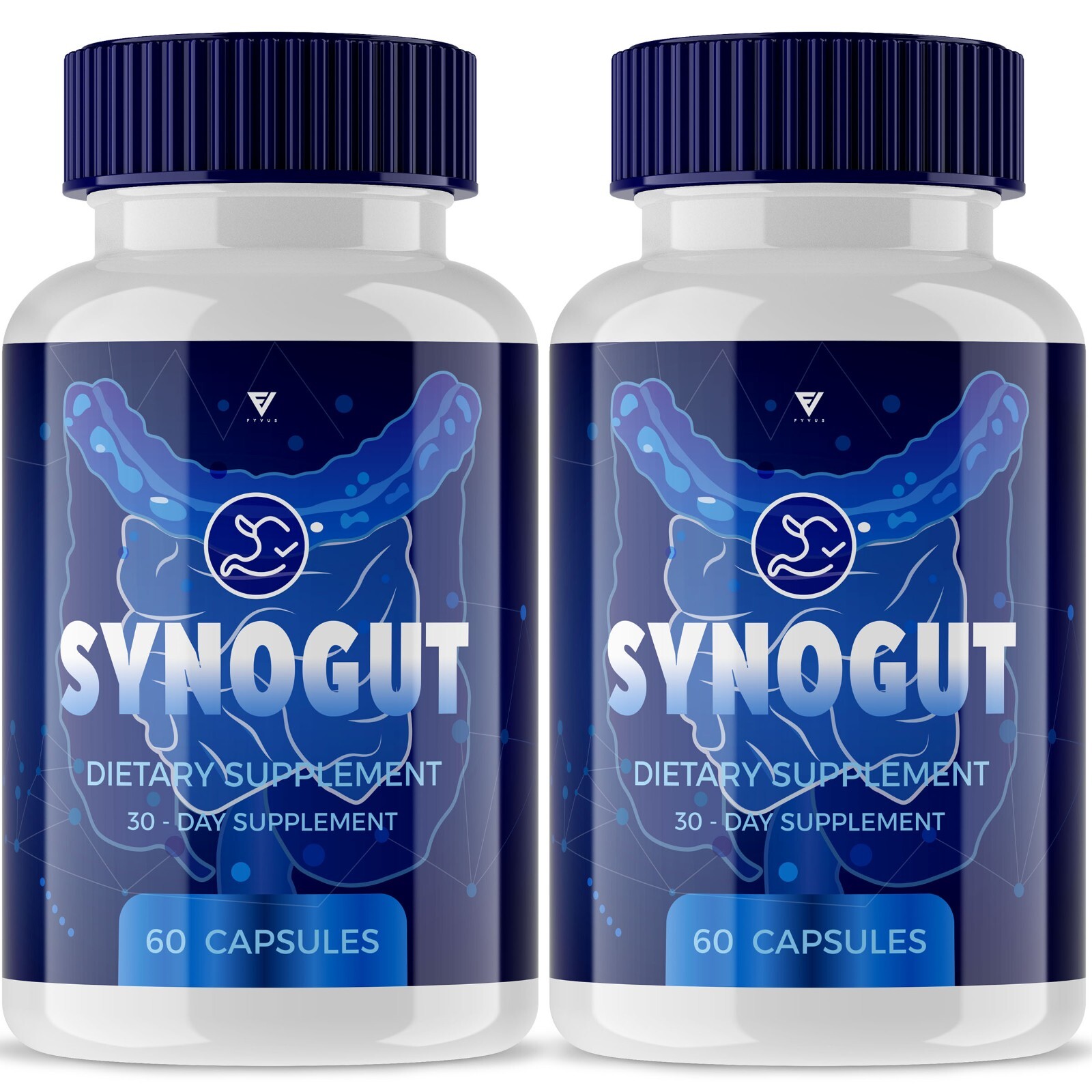 synogut