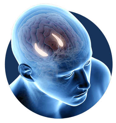 Billionaire Brain Wave